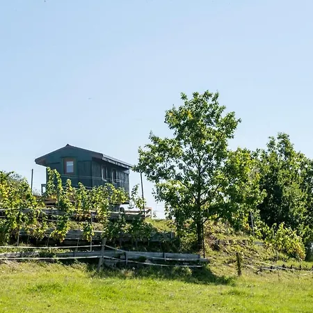 Tiny House Nad Vinici