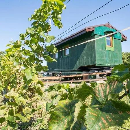 Tiny House Nad Vinici 度假居 *