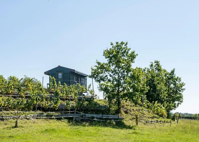 Tiny House Nad Vinici