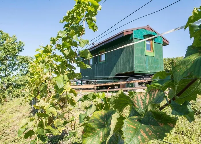 Tiny House Nad Vinici בית נופש *